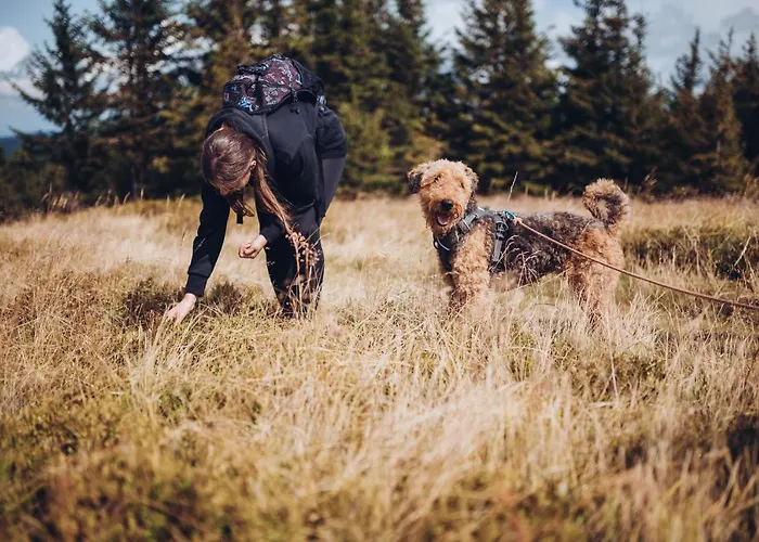 شقة أبارتماجسكو ناسيلجي ريبنيشكو بوهورجي